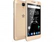 freedom_c100_gold_7.jpg