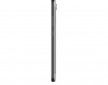 freedom_c100_gray_4.jpg