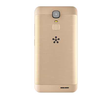 freedom_c100_gold_3.jpg