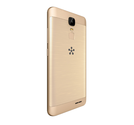 freedom_c100_gold_5.jpg